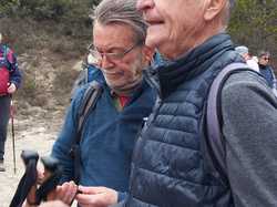  <a style='color: #fff;' href='/uploaded/photo/sahune-67ca0542b98a0.jpg'>(Télécharger)</a>