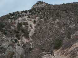  <a style='color: #fff;' href='/uploaded/photo/sahune-67ca0542d32aa.jpg'>(Télécharger)</a>