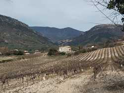  <a style='color: #fff;' href='/uploaded/photo/sahune-67ca054317ad9.jpg'>(Télécharger)</a>