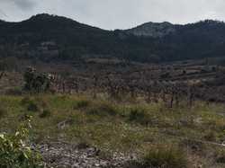  <a style='color: #fff;' href='/uploaded/photo/sahune-67ca054325a6b.jpg'>(Télécharger)</a>