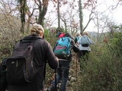  <a style='color: #fff;' href='/uploaded/photo/sahune-67ca0547315f6.jpg'>(Télécharger)</a>