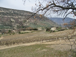  <a style='color: #fff;' href='/uploaded/photo/sahune-67ca054a07488.jpg'>(Télécharger)</a>