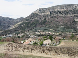  <a style='color: #fff;' href='/uploaded/photo/sahune-67ca054a68c48.jpg'>(Télécharger)</a>