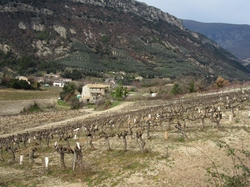  <a style='color: #fff;' href='/uploaded/photo/sahune-67ca054b492a9.jpg'>(Télécharger)</a>