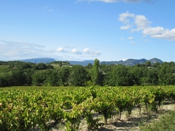  <a style='color: #fff;' href='/uploaded/photo/sainr-romain-en-viennosi-68c30be386130.jpg'>(Télécharger)</a>