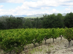  <a style='color: #fff;' href='/uploaded/photo/sainr-romain-en-viennosi-68c30be7e3868.jpg'>(Télécharger)</a>