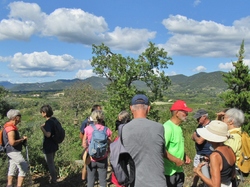  <a style='color: #fff;' href='/uploaded/photo/sainr-romain-en-viennosi-68c30be80bdf5.jpg'>(Télécharger)</a>