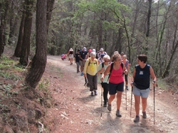  <a style='color: #fff;' href='/uploaded/photo/sainr-romain-en-viennosi-68c30be81f95b.jpg'>(Télécharger)</a>