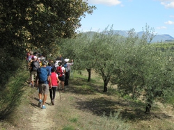  <a style='color: #fff;' href='/uploaded/photo/sainr-romain-en-viennosi-68c30be876b04.jpg'>(Télécharger)</a>