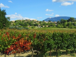  <a style='color: #fff;' href='/uploaded/photo/sainr-romain-en-viennosi-68c30be95ba7f.jpg'>(Télécharger)</a>