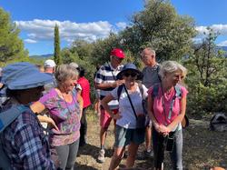  <a style='color: #fff;' href='/uploaded/photo/sainr-romain-en-viennosi-68c98c657ecfc.jpg'>(Télécharger)</a>