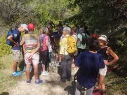  <a style='color: #fff;' href='/uploaded/photo/sainr-romain-en-viennosi-68c98c6585c45.jpg'>(Télécharger)</a>