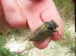  <a style='color: #fff;' href='/uploaded/photo/saint-euphemie-sur-ouveze-62ac45633f37f.jpg'>(Télécharger)</a>