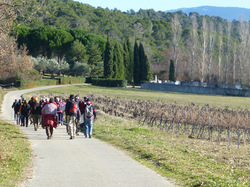  <a style='color: #fff;' href='/uploaded/photo/saint-marcellin-5e1af9e0e96ed.jpg'>(Télécharger)</a>