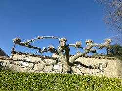  <a style='color: #fff;' href='/uploaded/photo/saint-marcellin-5e1afa0585592.jpg'>(Télécharger)</a>