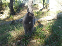  <a style='color: #fff;' href='/uploaded/photo/saint-marcellin-5e1afa4fde477.jpg'>(Télécharger)</a>