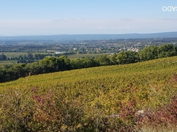 mini_saint-pantaleon-les-vignes-63401af4e8241.jpg