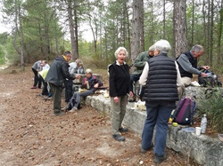  <a style='color: #fff;' href='/uploaded/photo/saint-restitut-6255c919a9fde.jpg'>(Télécharger)</a>