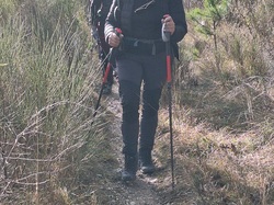  <a style='color: #fff;' href='/uploaded/photo/sainte-euphy-mie-694430234b44d.jpg'>(Télécharger)</a>