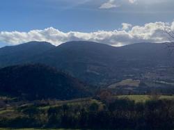  <a style='color: #fff;' href='/uploaded/photo/sainte-euphy-mie-6944319a61246.jpg'>(Télécharger)</a>