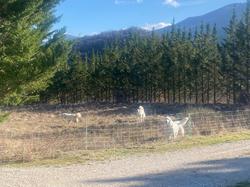  <a style='color: #fff;' href='/uploaded/photo/sainte-euphy-mie-6944319ae7f65.jpg'>(Télécharger)</a>