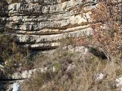  <a style='color: #fff;' href='/uploaded/photo/sainte-euphy-mie-69452fd6b6f56.jpg'>(Télécharger)</a>