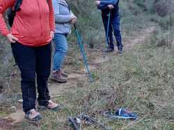  <a style='color: #fff;' href='/uploaded/photo/sainte-euphy-mie-6945310c79247.jpg'>(Télécharger)</a>