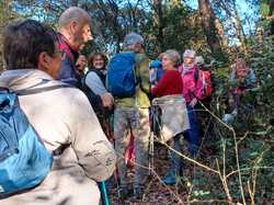  <a style='color: #fff;' href='/uploaded/photo/sainte-euphy-mie-6945310c9a737.jpg'>(Télécharger)</a>