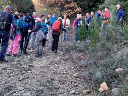  <a style='color: #fff;' href='/uploaded/photo/sainte-euphy-mie-6945310d1161c.jpg'>(Télécharger)</a>