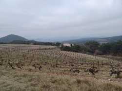  <a style='color: #fff;' href='/uploaded/photo/seguret-67b774b8d5e47.jpg'>(Télécharger)</a>