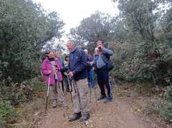  <a style='color: #fff;' href='/uploaded/photo/seguret-67b774b9e7606.jpg'>(Télécharger)</a>