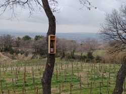  <a style='color: #fff;' href='/uploaded/photo/seguret-67b774ba6fed4.jpg'>(Télécharger)</a>