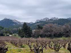  <a style='color: #fff;' href='/uploaded/photo/seguret-67dc4e5ddd588.jpg'>(Télécharger)</a>