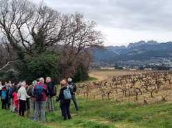  <a style='color: #fff;' href='/uploaded/photo/seguret-67dc4e5e241df.jpg'>(Télécharger)</a>