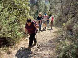  <a style='color: #fff;' href='/uploaded/photo/seguret-67e5b71097f23.jpg'>(Télécharger)</a>