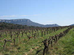  <a style='color: #fff;' href='/uploaded/photo/seguret-67e5b71f83060.jpg'>(Télécharger)</a>