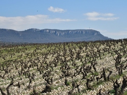  <a style='color: #fff;' href='/uploaded/photo/seguret-67e5b721a0bb1.jpg'>(Télécharger)</a>