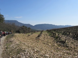  <a style='color: #fff;' href='/uploaded/photo/seguret-67e5b721acdb9.jpg'>(Télécharger)</a>