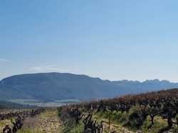  <a style='color: #fff;' href='/uploaded/photo/seguret-67e5b7cb3c5de.jpg'>(Télécharger)</a>