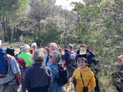  <a style='color: #fff;' href='/uploaded/photo/seguret-67e5b7cc0915c.jpg'>(Télécharger)</a>