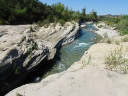  <a style='color: #fff;' href='/uploaded/photo/seguret-le-long-de-l-ouveze-67f806e50aaeb.jpg'>(Télécharger)</a>