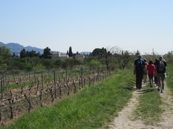  <a style='color: #fff;' href='/uploaded/photo/seguret-le-long-de-l-ouveze-67f806e65f43a.jpg'>(Télécharger)</a>