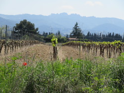  <a style='color: #fff;' href='/uploaded/photo/seguret-le-long-de-l-ouveze-67f806e7f0a18.jpg'>(Télécharger)</a>