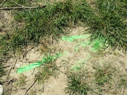  <a style='color: #fff;' href='/uploaded/photo/seguret-le-long-de-l-ouveze-67f806ef8be7a.jpg'>(Télécharger)</a>