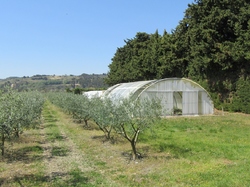  <a style='color: #fff;' href='/uploaded/photo/seguret-le-long-de-l-ouveze-67f806f0947df.jpg'>(Télécharger)</a>