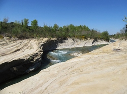  <a style='color: #fff;' href='/uploaded/photo/seguret-le-long-de-l-ouveze-67f806f0aacb0.jpg'>(Télécharger)</a>