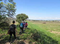  <a style='color: #fff;' href='/uploaded/photo/seguret-le-long-de-l-ouveze-67f806f125a2b.jpg'>(Télécharger)</a>