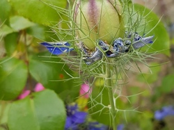  <a style='color: #fff;' href='/uploaded/photo/sejour-a-la-fressinouse-62ac40a35bbe8.jpg'>(Télécharger)</a>