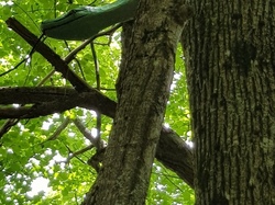  <a style='color: #fff;' href='/uploaded/photo/sejour-a-la-fressinouse-62ac40a82c0ba.jpg'>(Télécharger)</a>