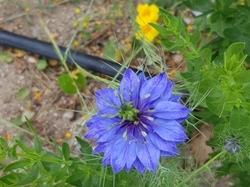  <a style='color: #fff;' href='/uploaded/photo/sejour-a-la-fressinouse-62ac40a87c3dc.jpg'>(Télécharger)</a>